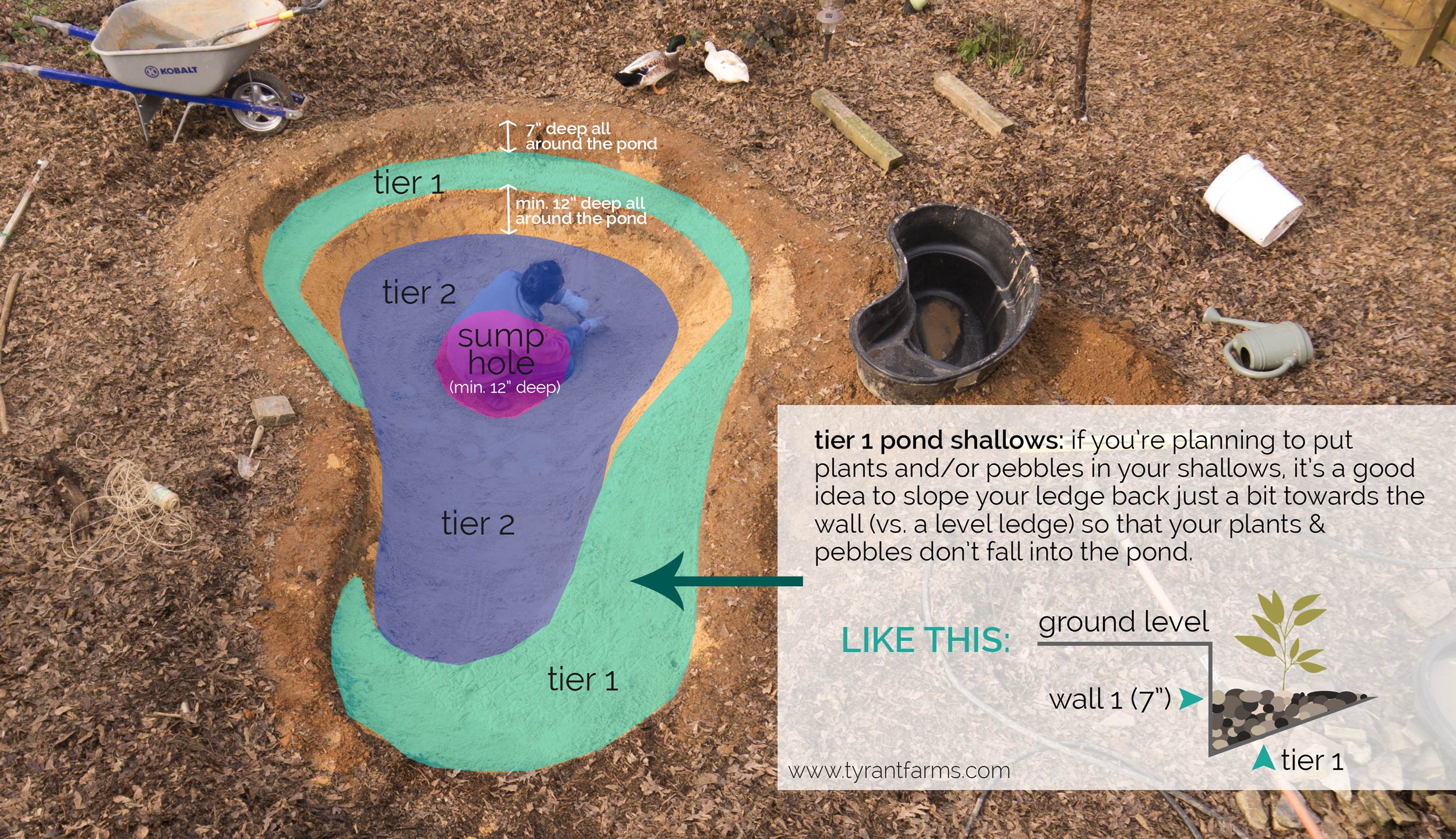 How to build a DIY backyard pond with selfcleaning biofilter